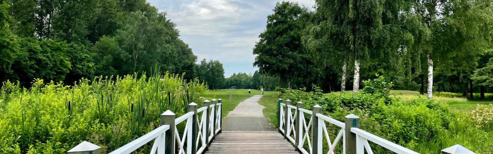 Header-Bild auf Schlagwörter-Übersicht AK65 Herren