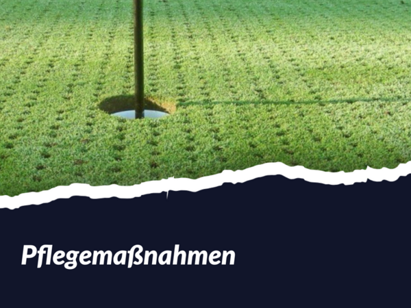 Titelbild Pflegemaßnahmen
